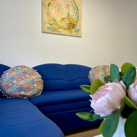 Apartament House Sasca Daire Oradea Dış mekan fotoğraf