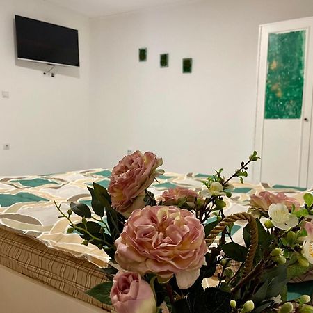 Apartament House Sasca Daire Oradea Dış mekan fotoğraf