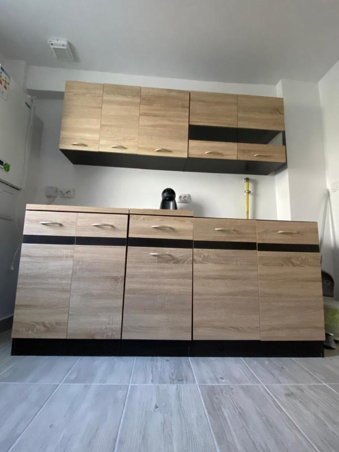Apartament House Sasca Daire Oradea Dış mekan fotoğraf